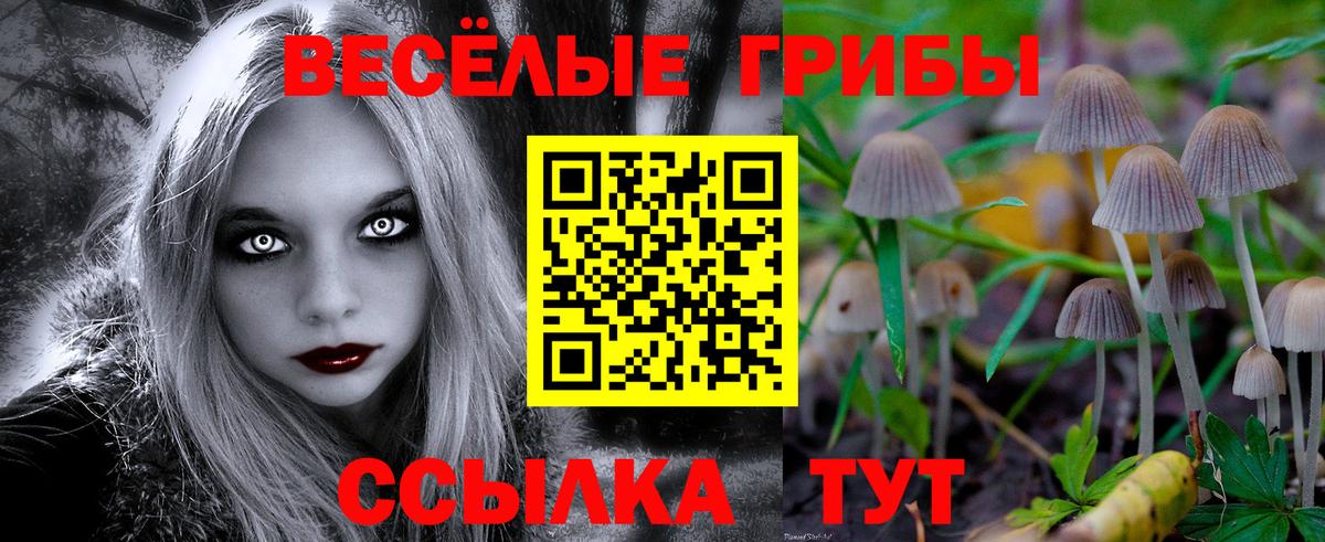Кимры  Псилоцибиновые грибы ЛСД  Вход с VPN  Псилоцибиновые грибы MAGIC MUSHROOMS 